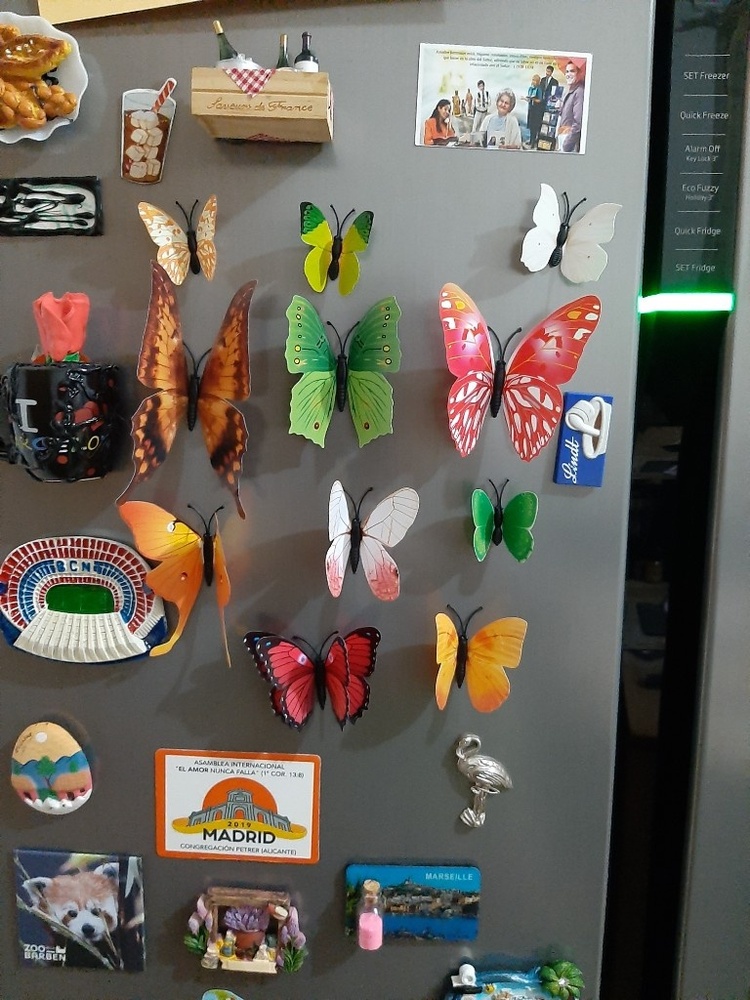 Mariposas decorativas x 12 unidades